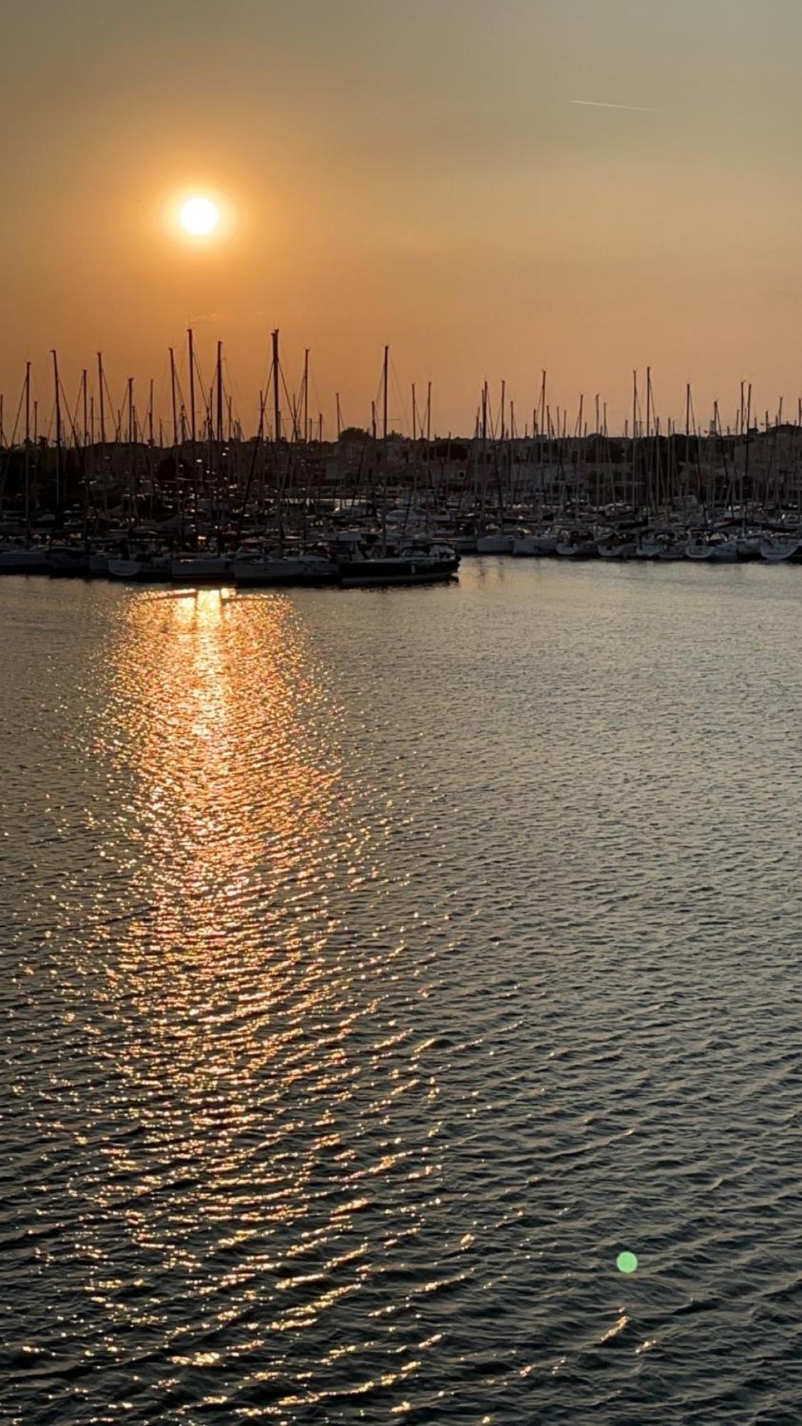 Studio Prestige Avec Terrasse, Ile Des Pecheurs, Vue Port Agde Exteriér fotografie