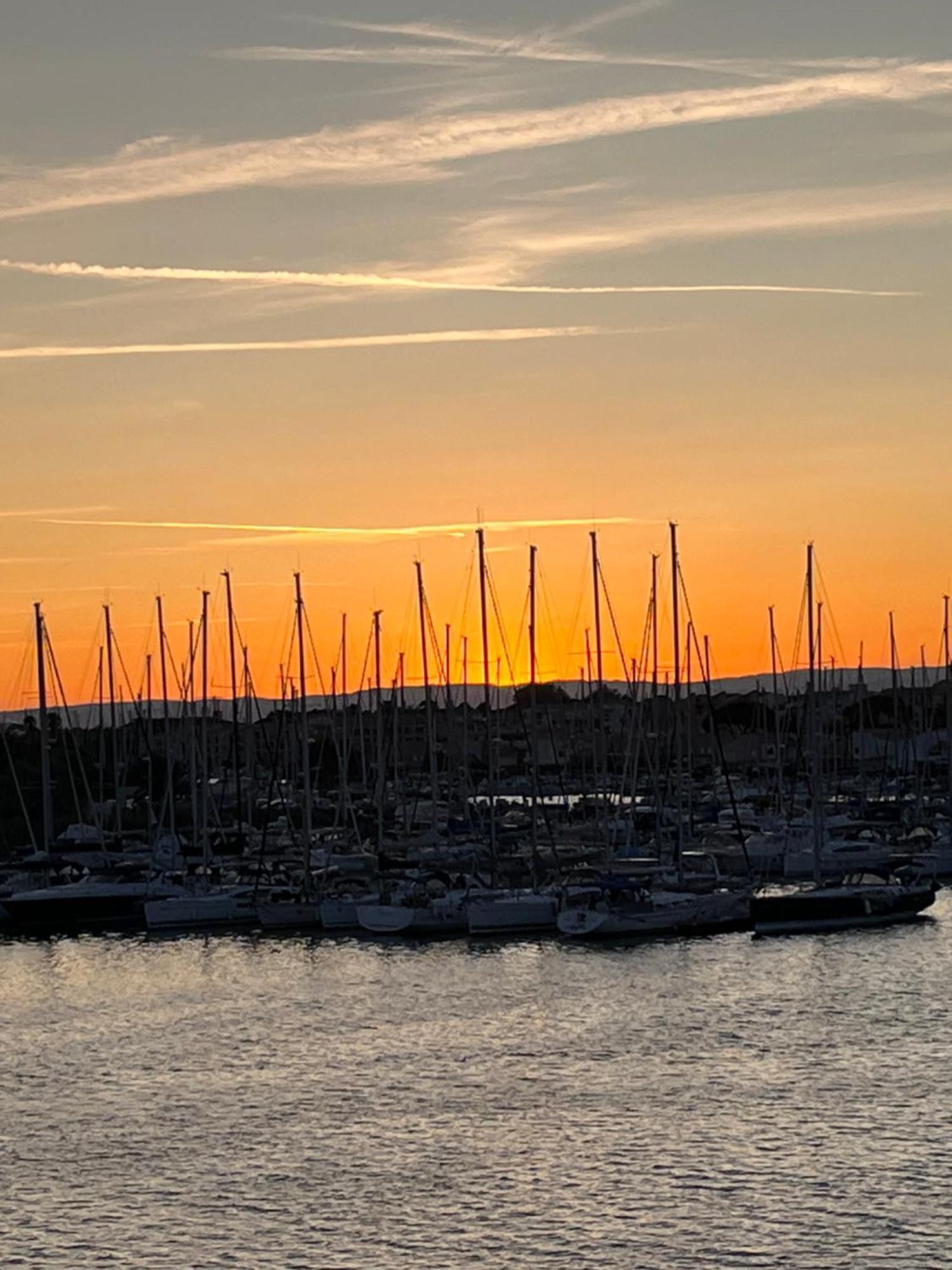 Studio Prestige Avec Terrasse, Ile Des Pecheurs, Vue Port Agde Exteriér fotografie